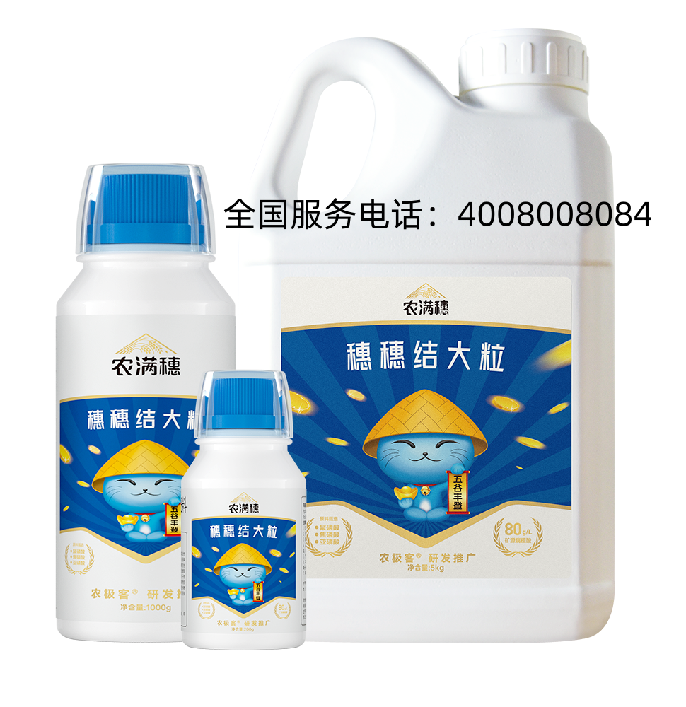 农极客许昌线上分站